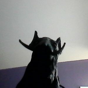 Meet your Posher, Chloe